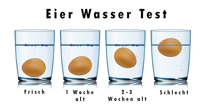 eier-wasser-test
