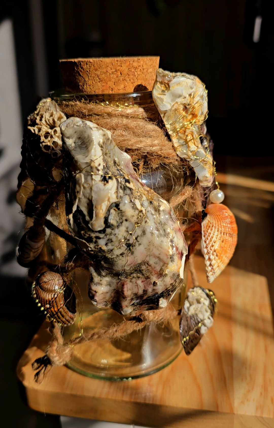 VideoCapture_20250320-120354