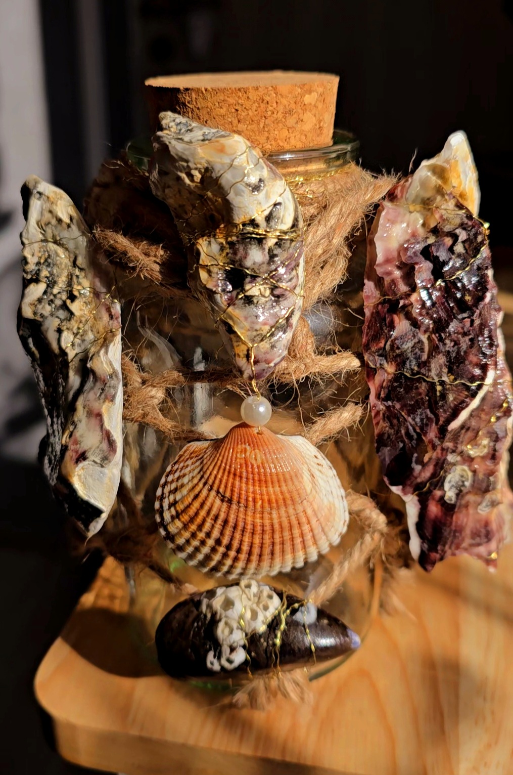 VideoCapture_20250320-120305